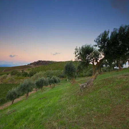 Vakantieboerderij Sirignano Wine Sirignano (Palermo)