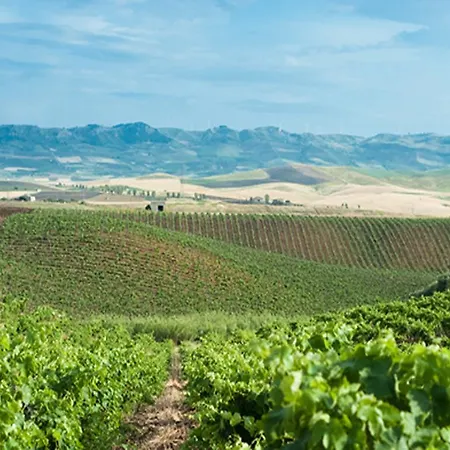 Alloggio per agriturismo Sirignano Wine