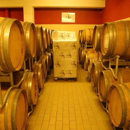 Vakantieboerderij Sirignano Wine Sirignano (Palermo)