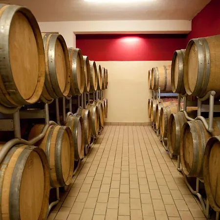 Sirignano Wine