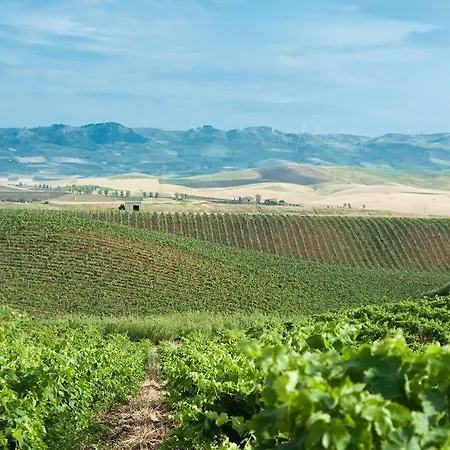 Alloggio per agriturismo Sirignano Wine Sirignano (Palermo)
