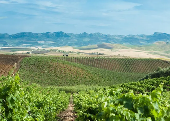 Alloggio per agriturismo Wine