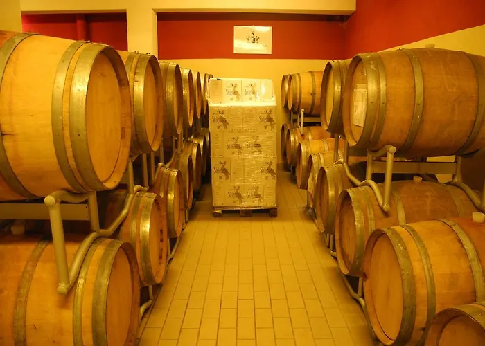 Alloggio per agriturismo Wine Sirignano (Palermo)