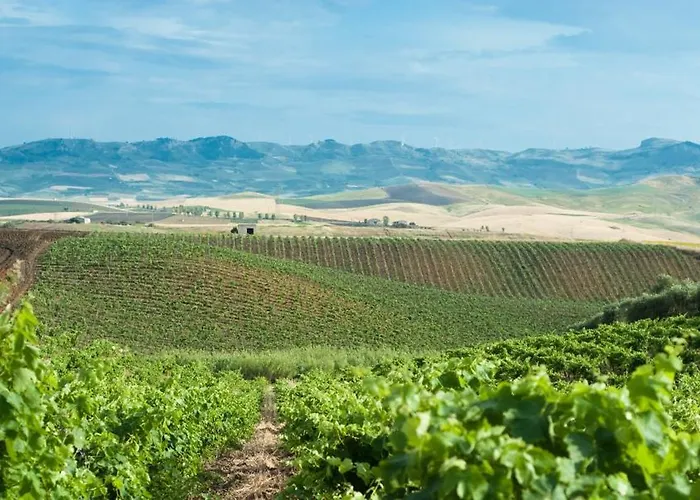 Alloggio per agriturismo Wine Sirignano (Palermo)